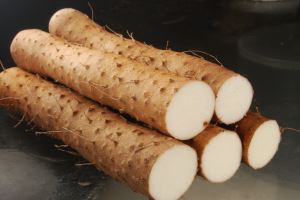 yam özü diosgenin