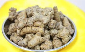 Notoginseng Ekstresi
