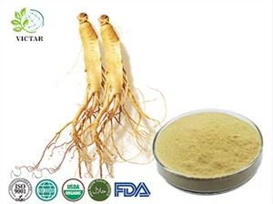 pannax Ginseng Özü