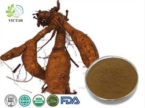 pueraria özü tozu