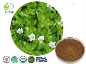 Bacopa Monnieri Özü